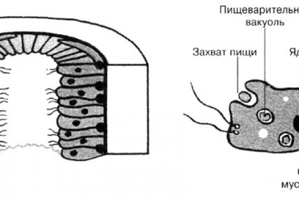 Модератор на кракене