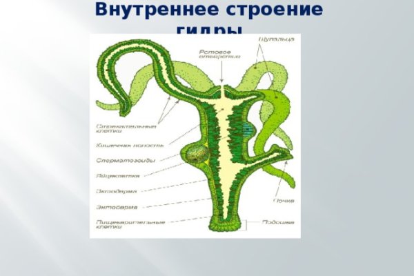 Кракен магазин krakens13 at