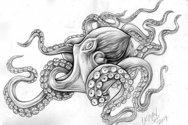 Как зайти на кракен kraken014 com