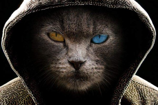 Пополнить кошелек кракен